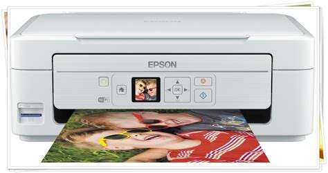 Complete Guide on Installing Epson XP-335 Printer Driver